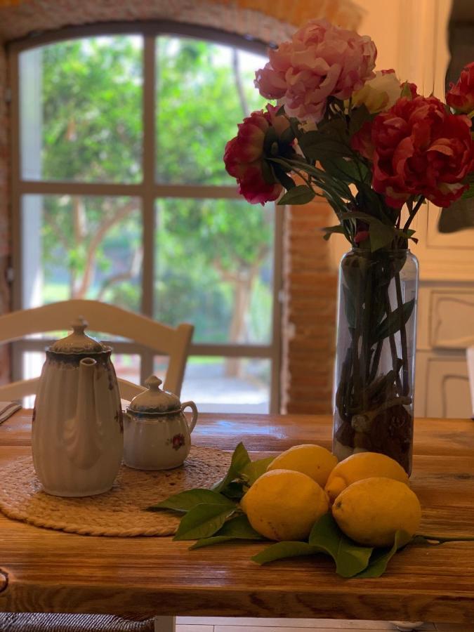 Il Giardino Dei Limoni Bed & Breakfast Suvereto Bagian luar foto